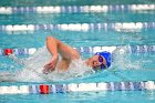 Swimming & Diving vs Babson  Swimming & Diving vs Babson College. - Photo by Keith Nordstrom : Wheaton, Swimming